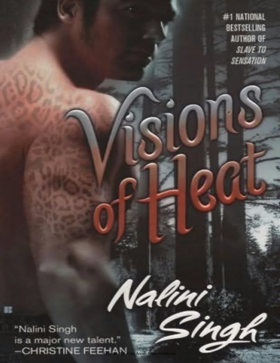 Visions of Heat kapak görseli