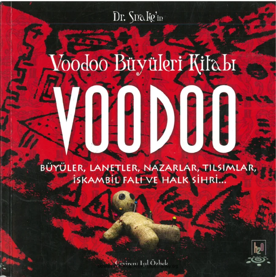Voodoo Buyuleri Kitab 1 kapak görseli