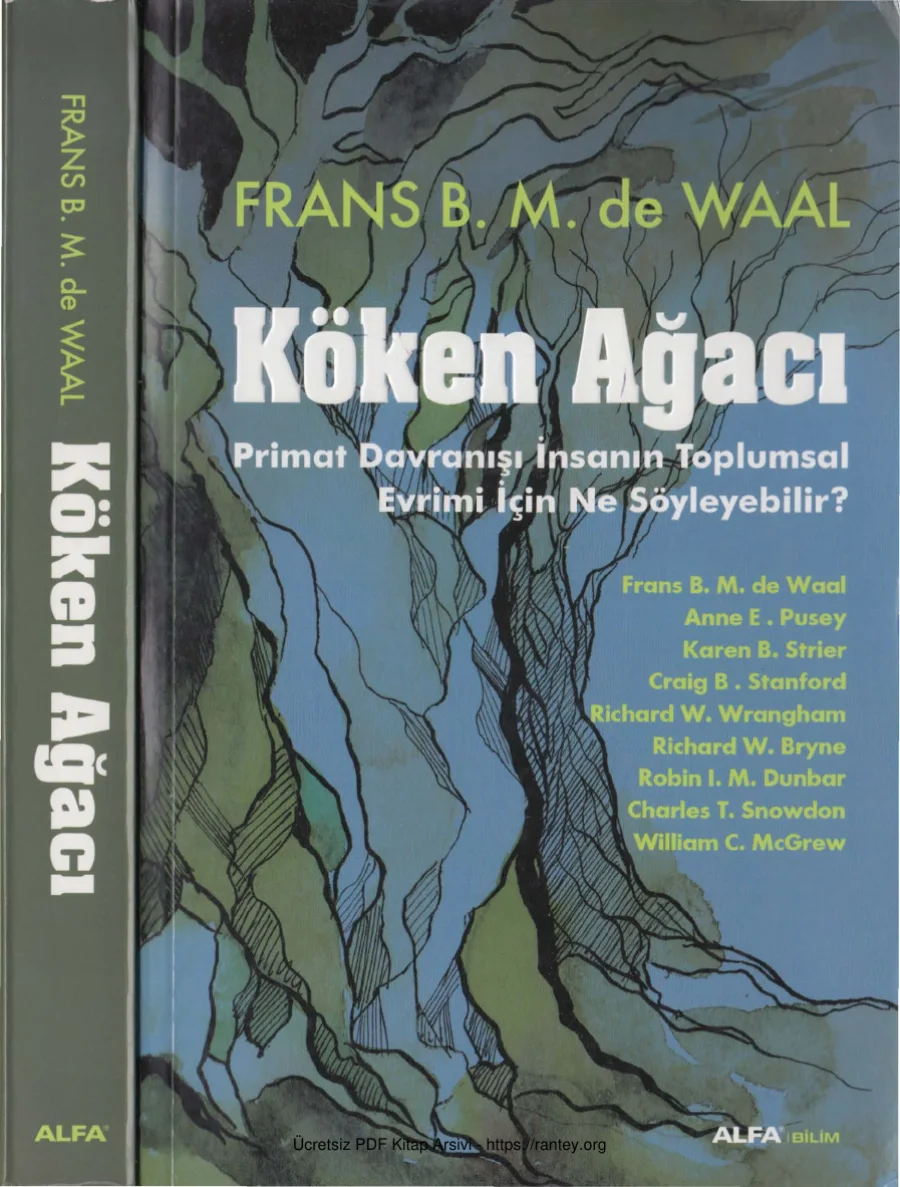 Waal Köken Ağacı kapak görseli