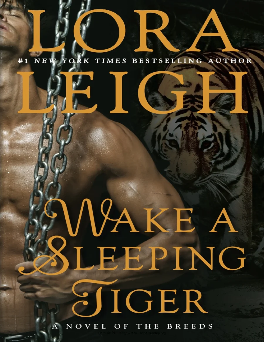 Wake a Sleeping Tiger kapak görseli