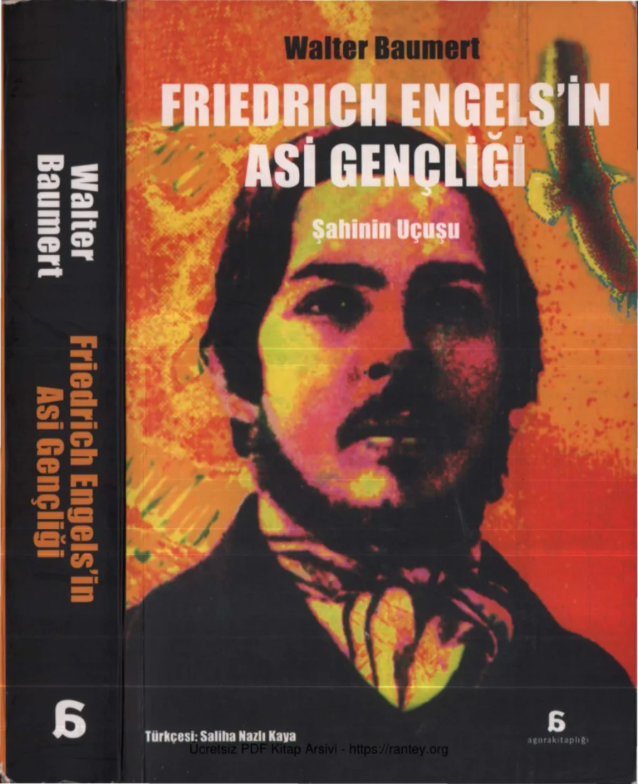 Walter Baumert Friedrich Engelsin Asi Gençliği Şahinin Uçuşu kapak görseli