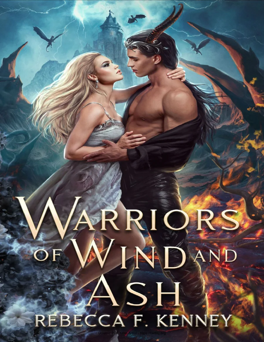 Warriors of Wind and kapak görseli
