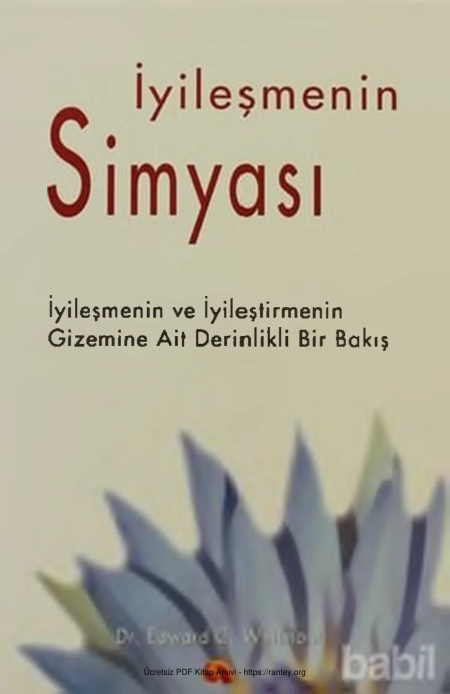 Whitmont İyileşmenin Simyası kapak görseli