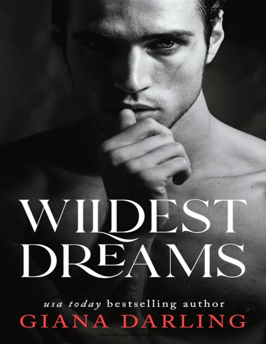 Wildest Dreams kapak görseli
