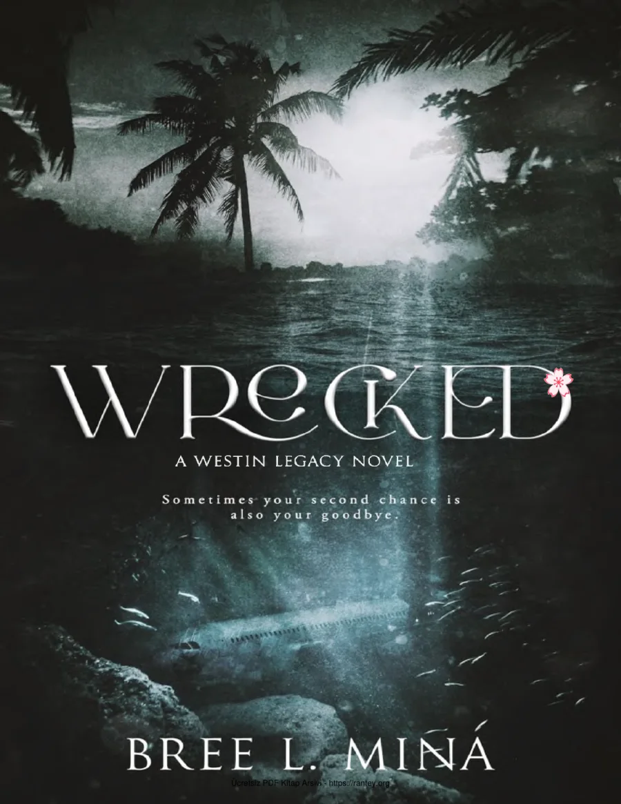 Wrecked kapak görseli