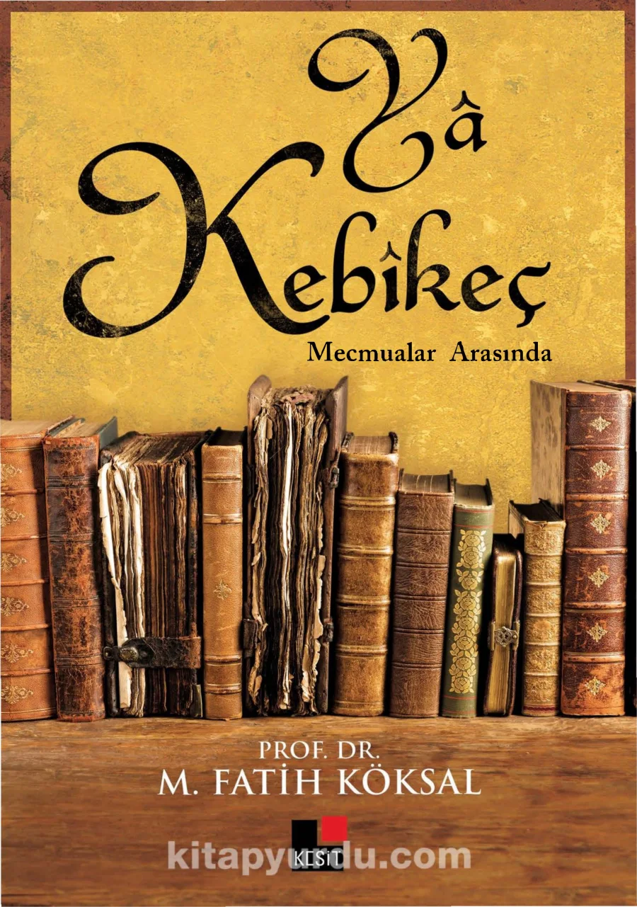 Ya Kebikeç kitap kapağı