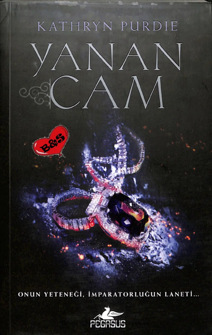 Yanan Cam Yanan Cam 1 kapak görseli