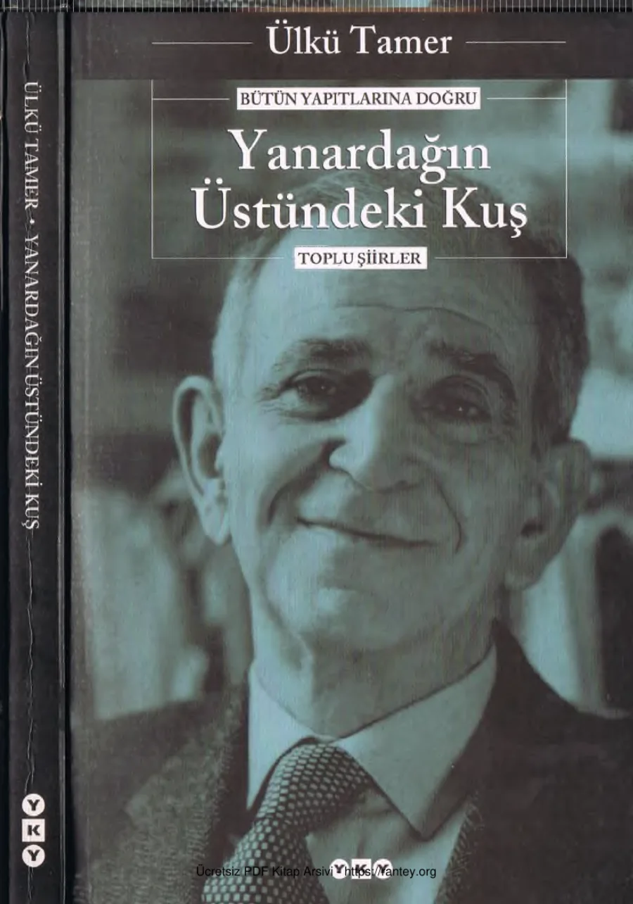 Yanardağın Üstündeki Kuş Bütün Şiirler kapak görseli