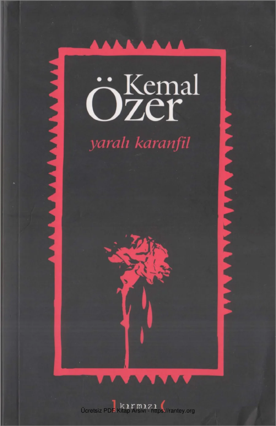 Yaralı Karanfil Toplu Şiirler kapak görseli