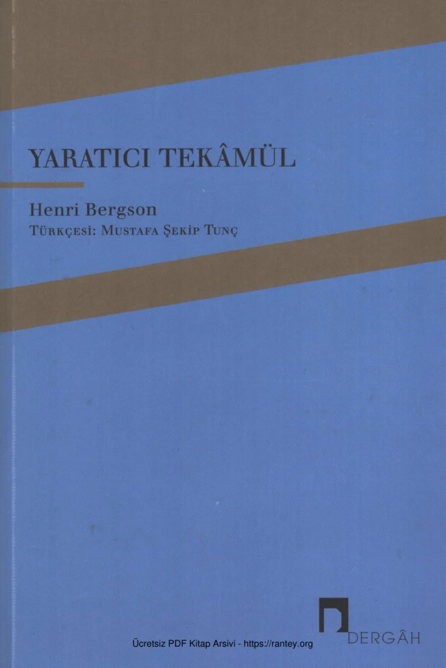 Yaratıcı Tekamül kapak görseli