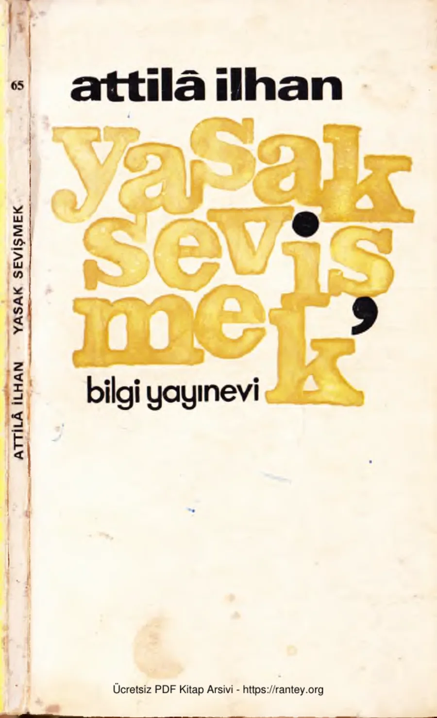 Yasak Sevişmek kapak görseli