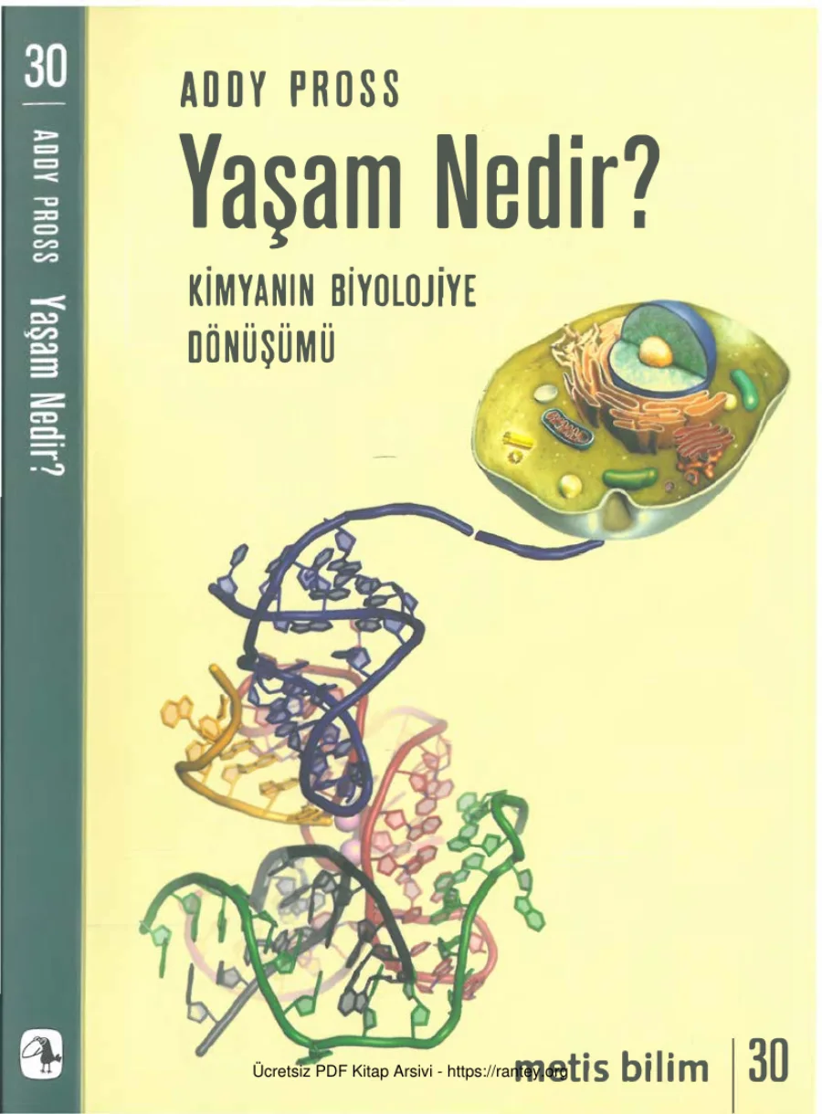 Yaşam Nedir Metis Yayınları kapak görseli