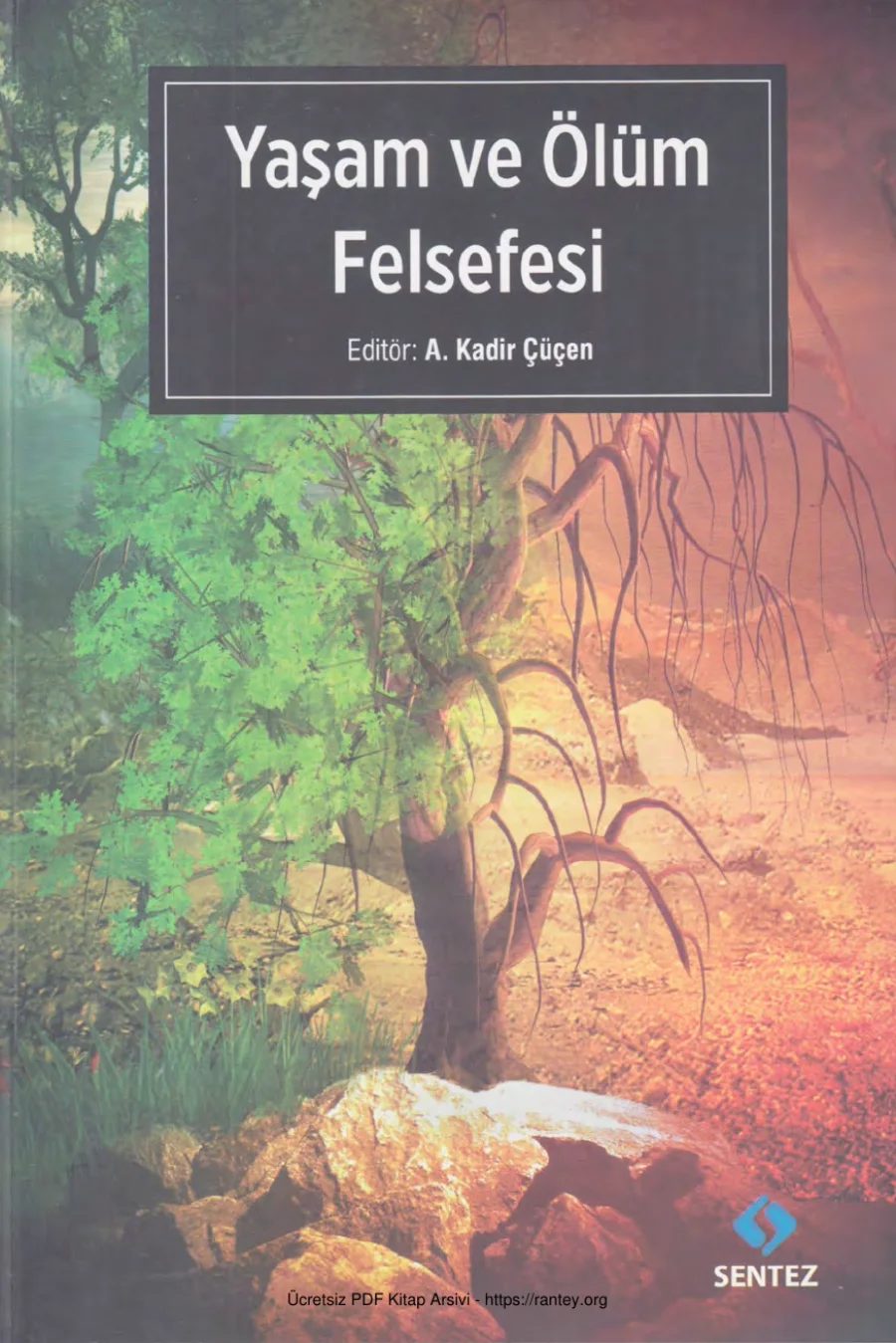 Yaşam ve Ölüm Felsefesi kapak görseli