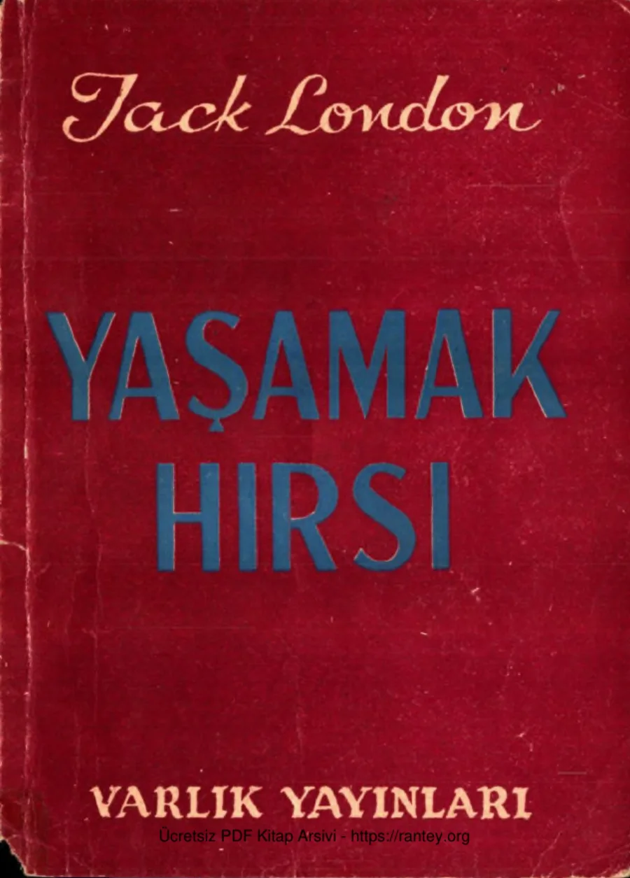 Yaşamak Hırsı kapak görseli