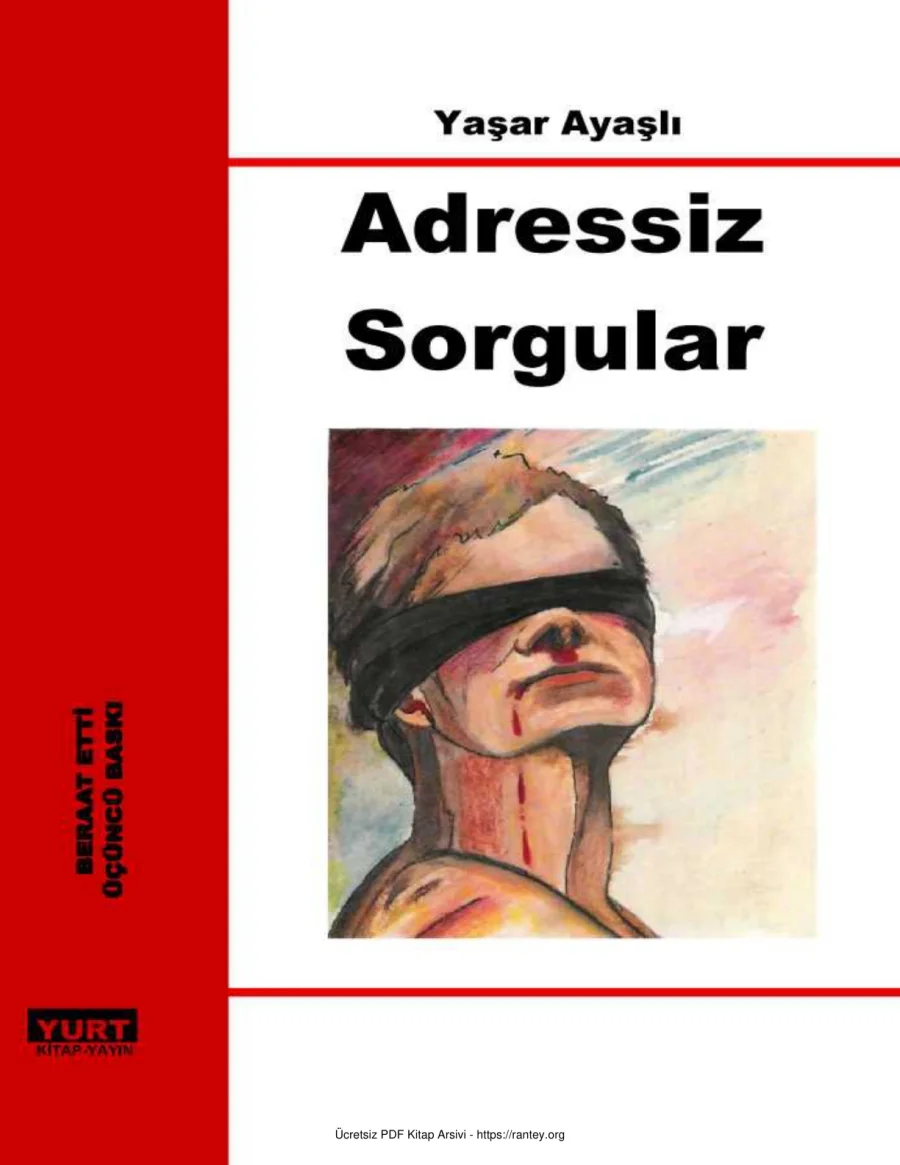Yaşar Ayaşlı Adressiz Sorgular kapak görseli