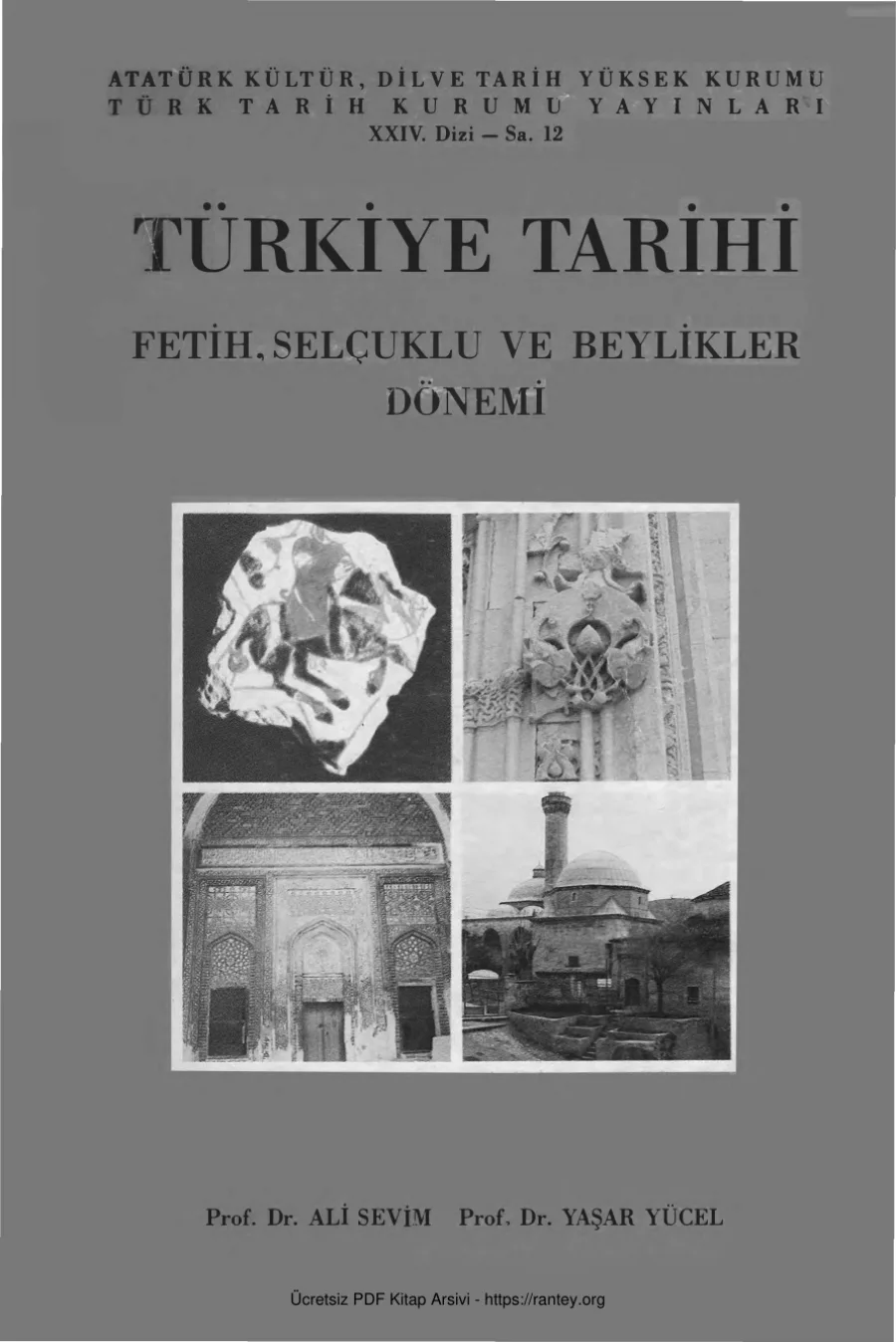 Yaşar Yücel Türkiye Tarihi kapak görseli