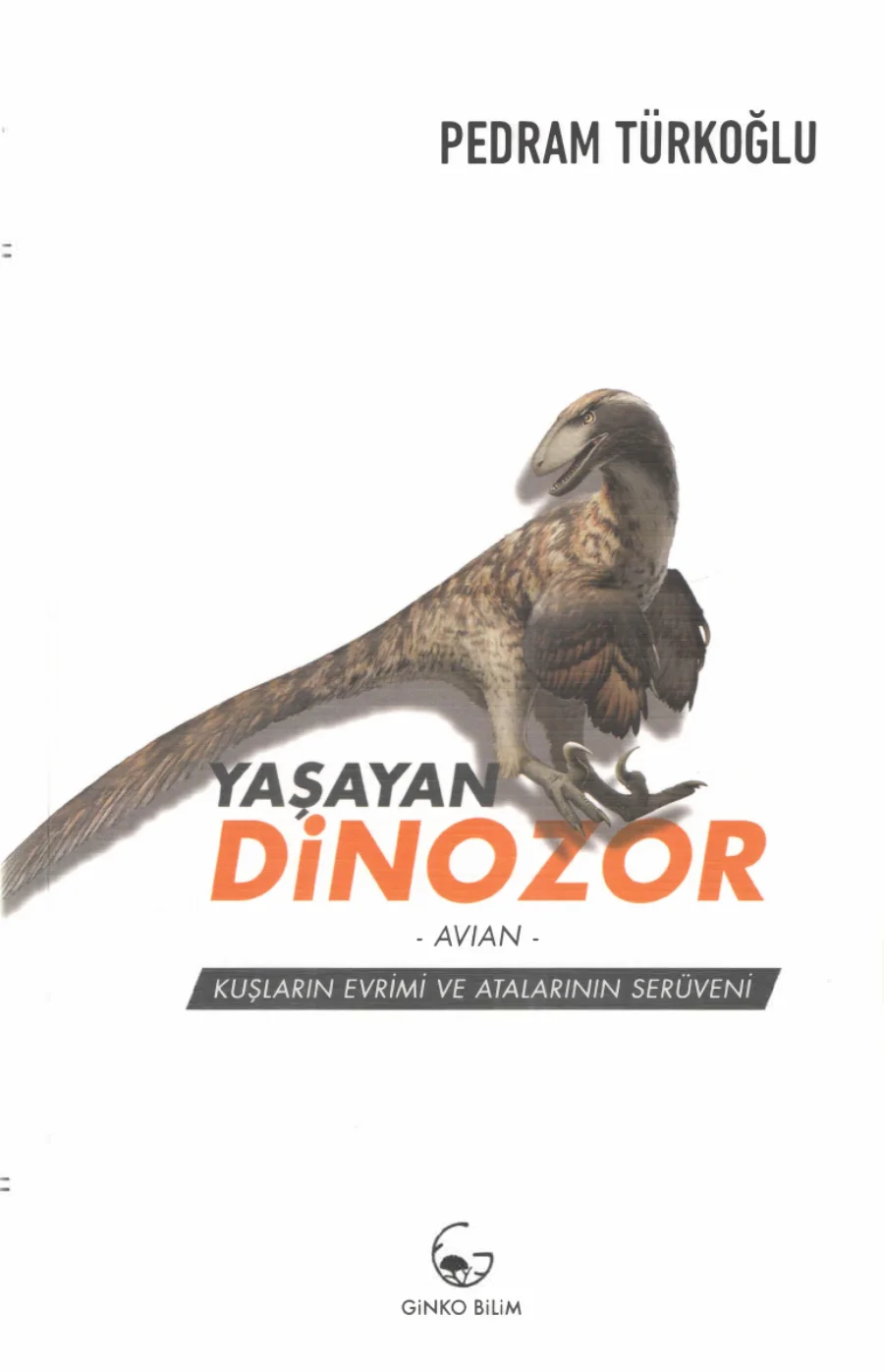 Yaşayan Dinozor Ginko kapak görseli