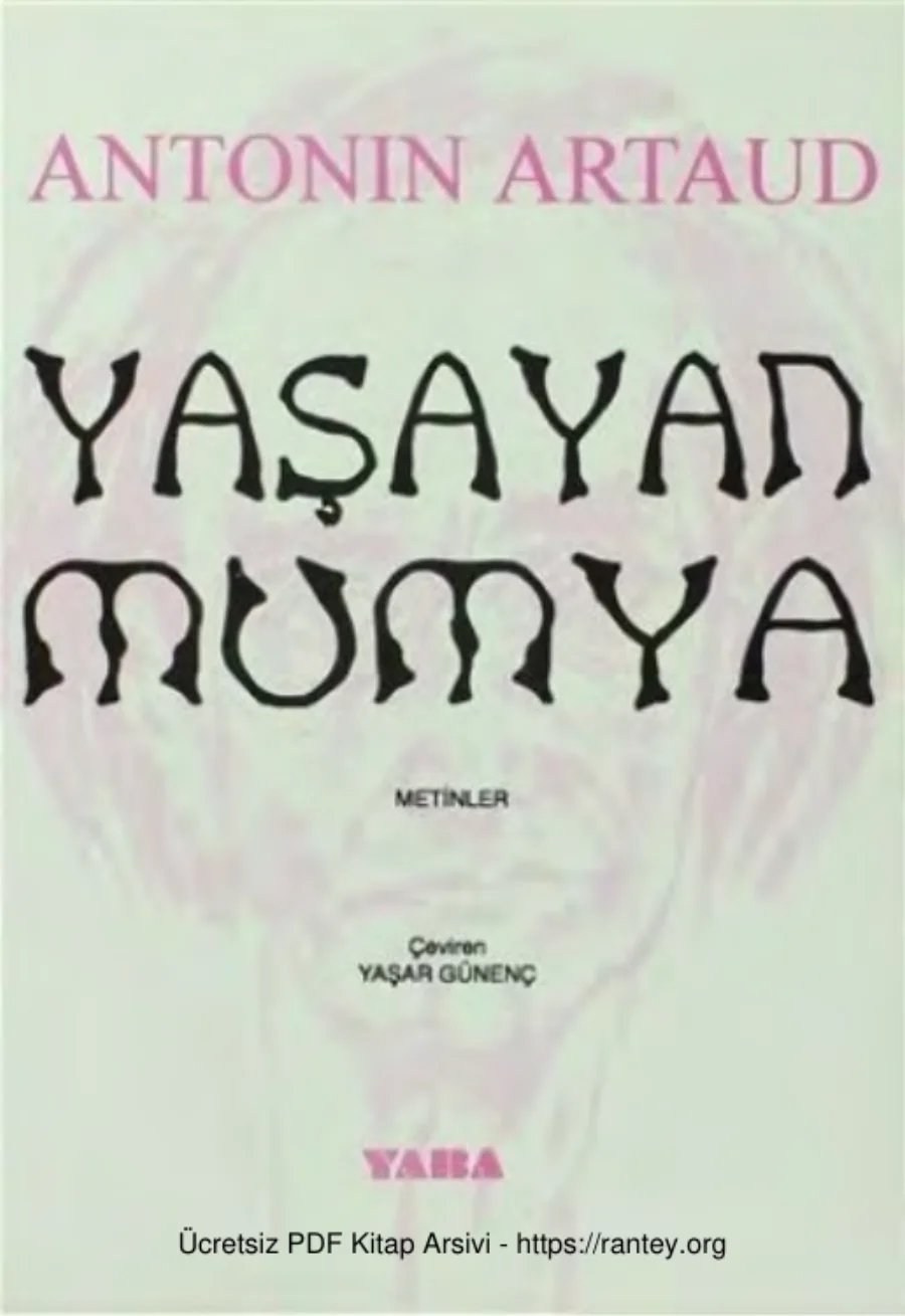 Yaşayan Mumya Yaba Yayınları kapak görseli