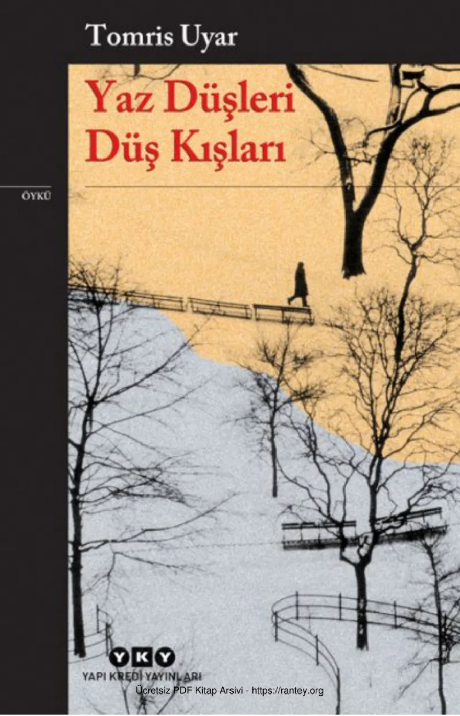 Yaz Düşleri Düş Kışları kapak görseli