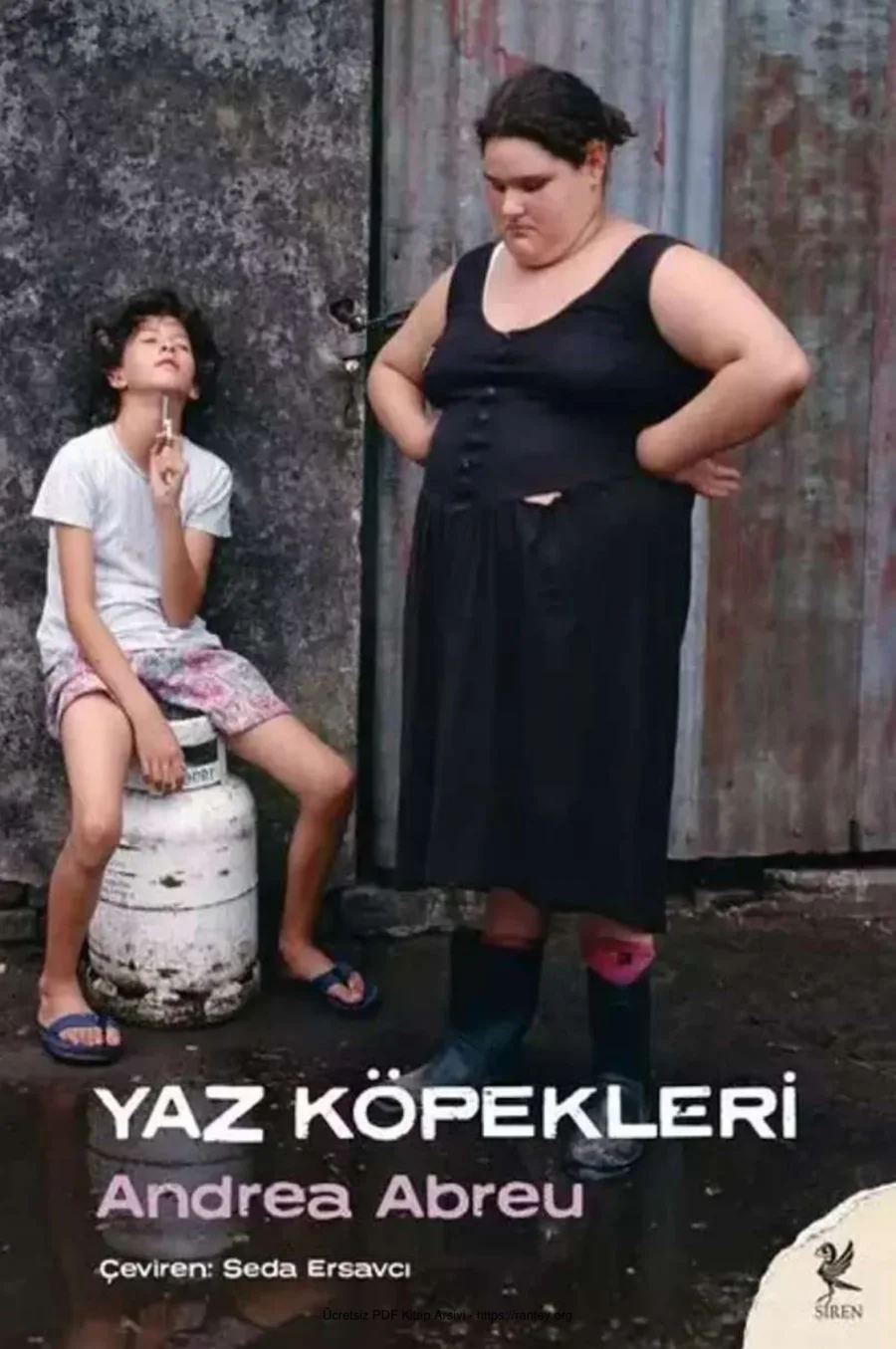 Yaz Köpekleri kapak görseli
