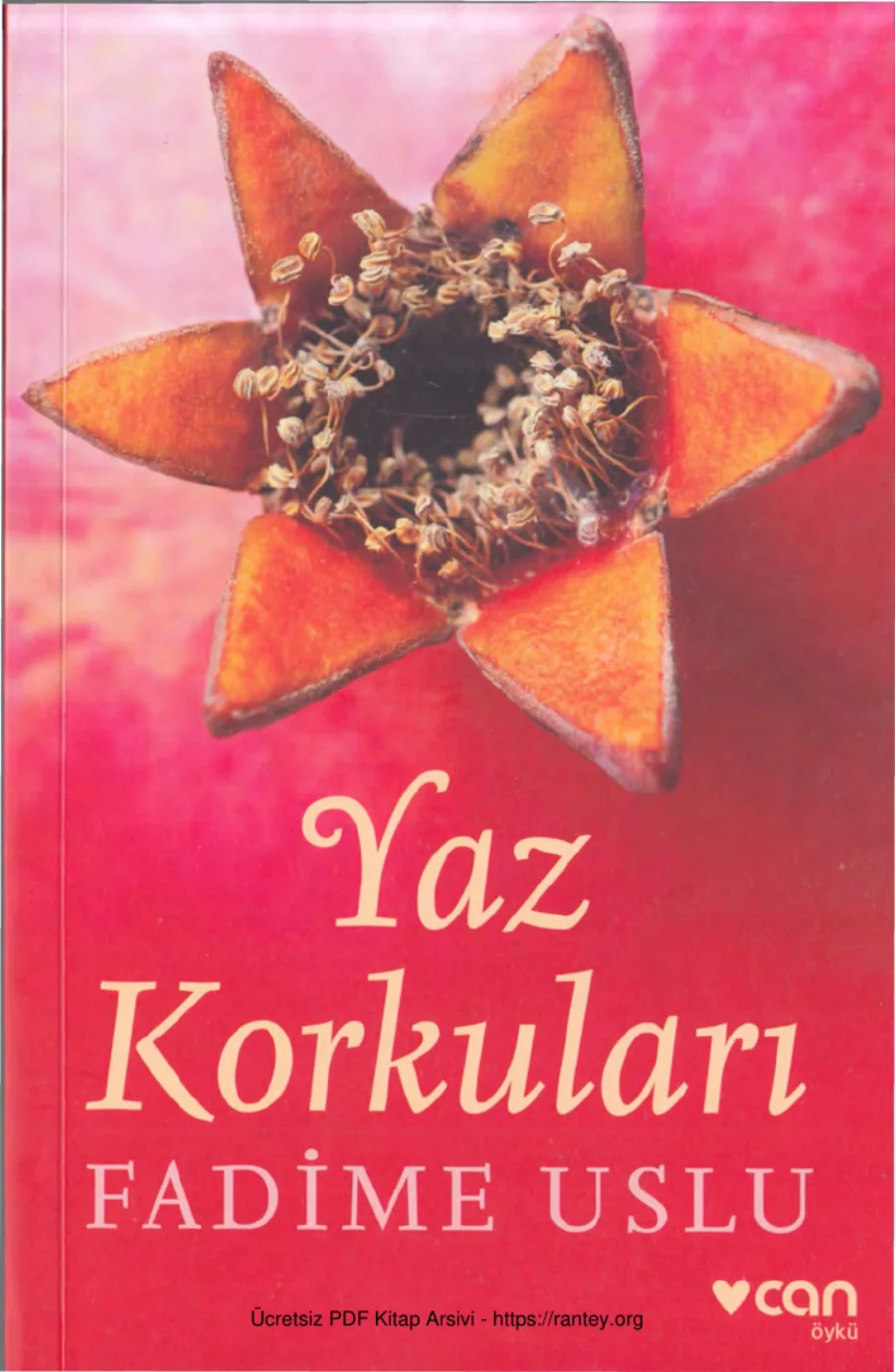 Yaz Korkuları kapak görseli