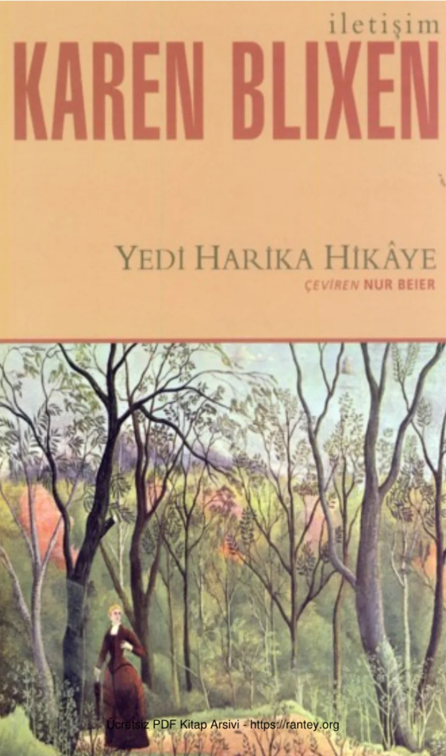 Yedi Harika Hikâye kapak görseli