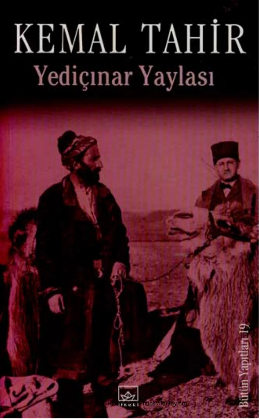 Yediçınar Yaylası kapak görseli