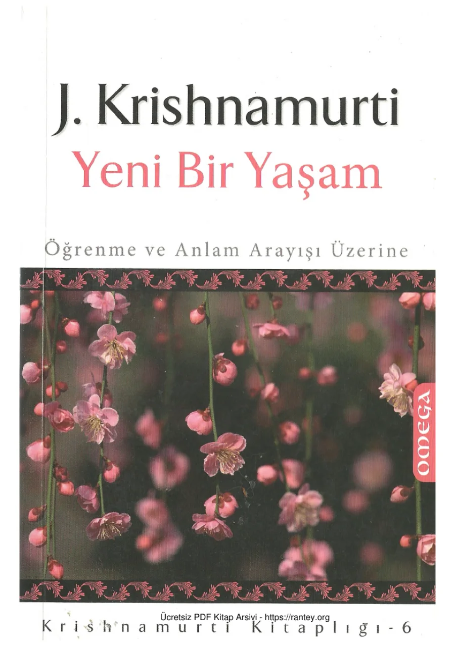 Yeni Bir Yaşam kapak görseli