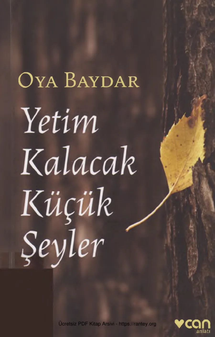 Yetim Kalacak Küçük Şeyler Can Yayınları kapak görseli