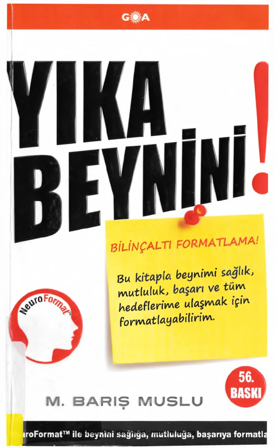 Yıka Beynini Goa Yayınları kapak görseli