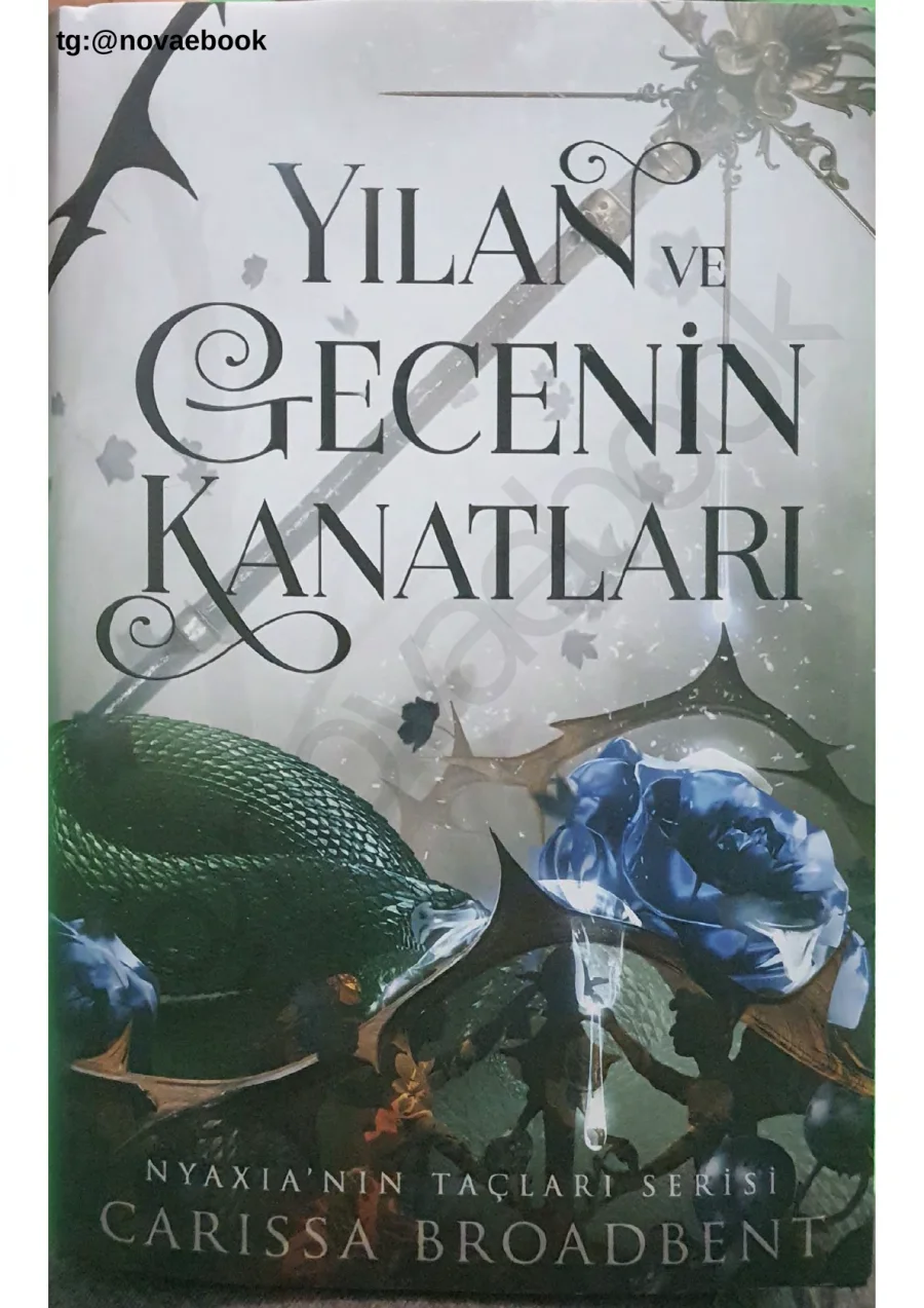 Yılan ve Gecenin Kanatları kapak görseli