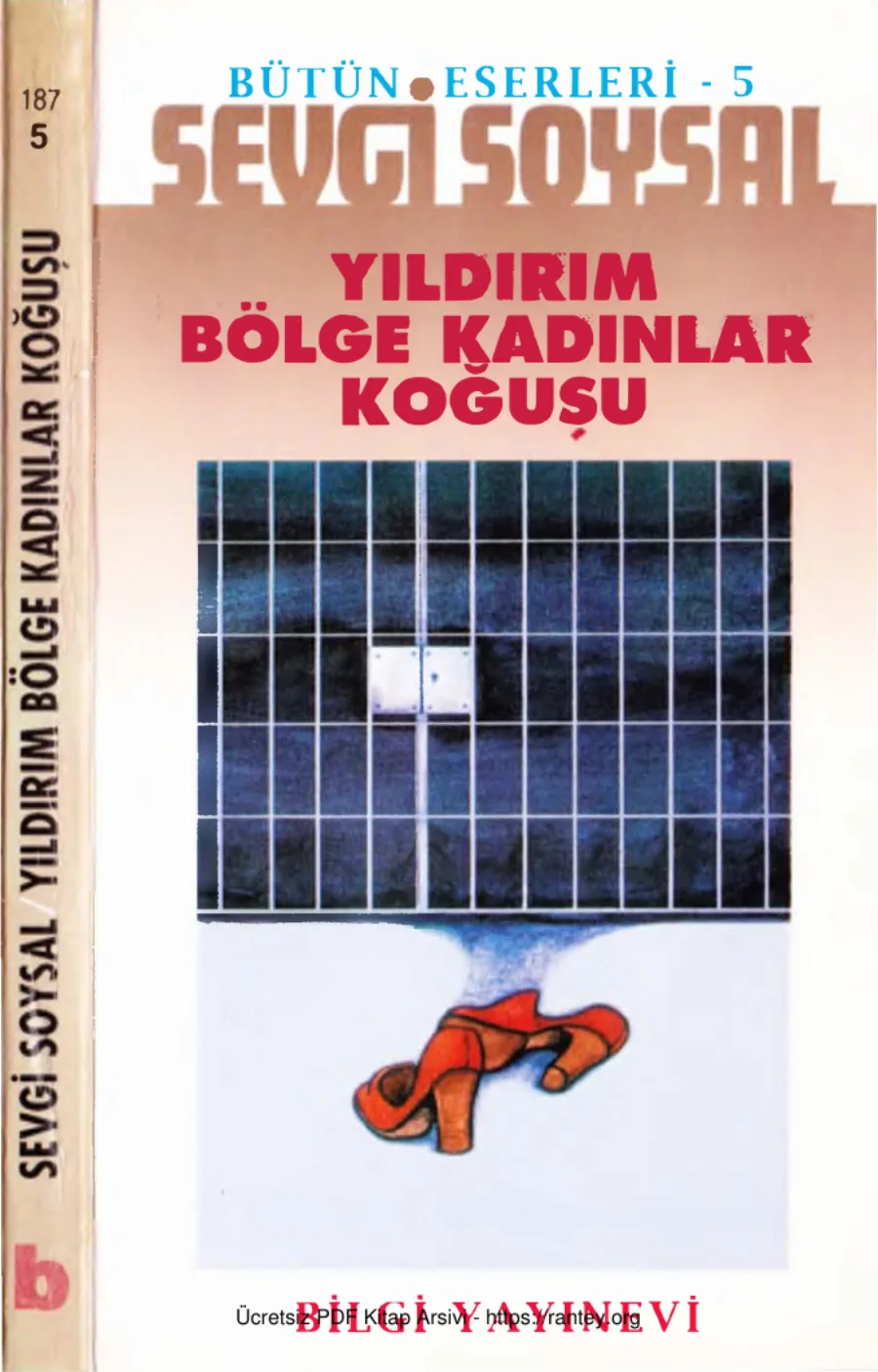 Yıldırım Bölge Kadınlar Koğuşu Bilgi Yayınevi kapak görseli