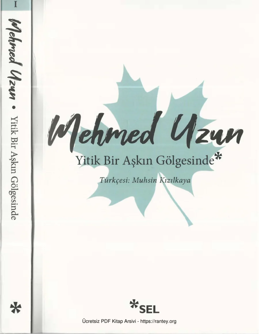 Yitik Bir Aşkın Gölgesinde kapak görseli