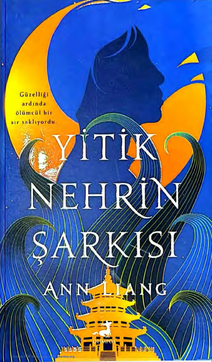 Yitik Nehrin Şarkısı kapak görseli