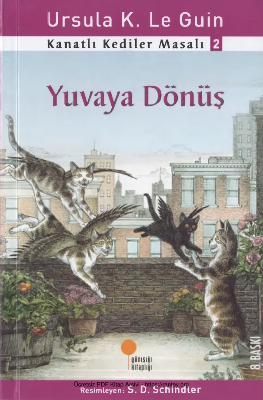 Yuvaya Dönüş kapak görseli