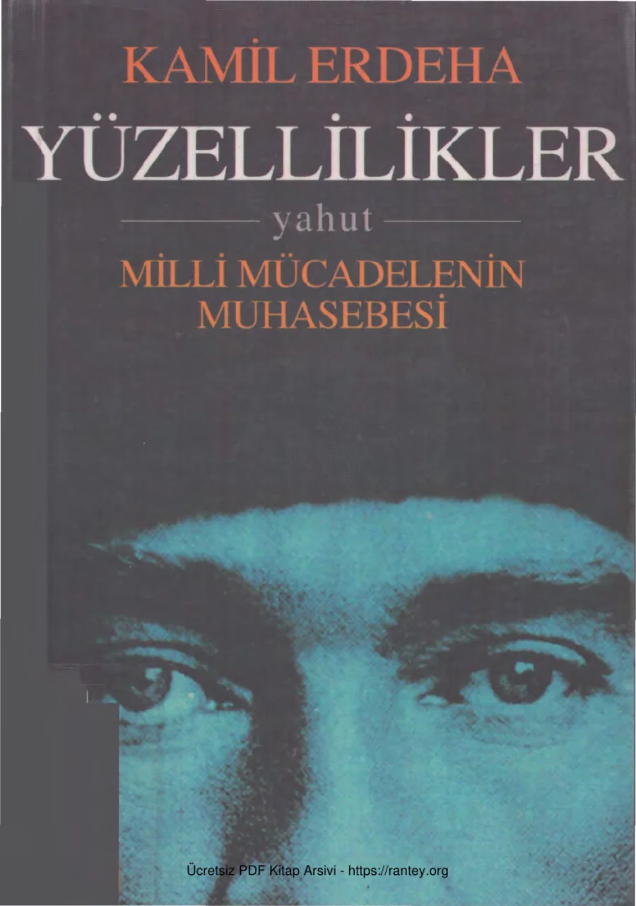 Yüzellilikler yahut Milli Mücadelenin Muhasebesi Tekin Yayınları kapak görseli