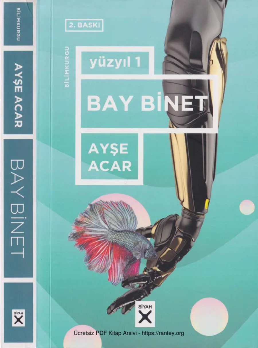 Yüzyıl 1 Bay Binet Siyah kapak görseli