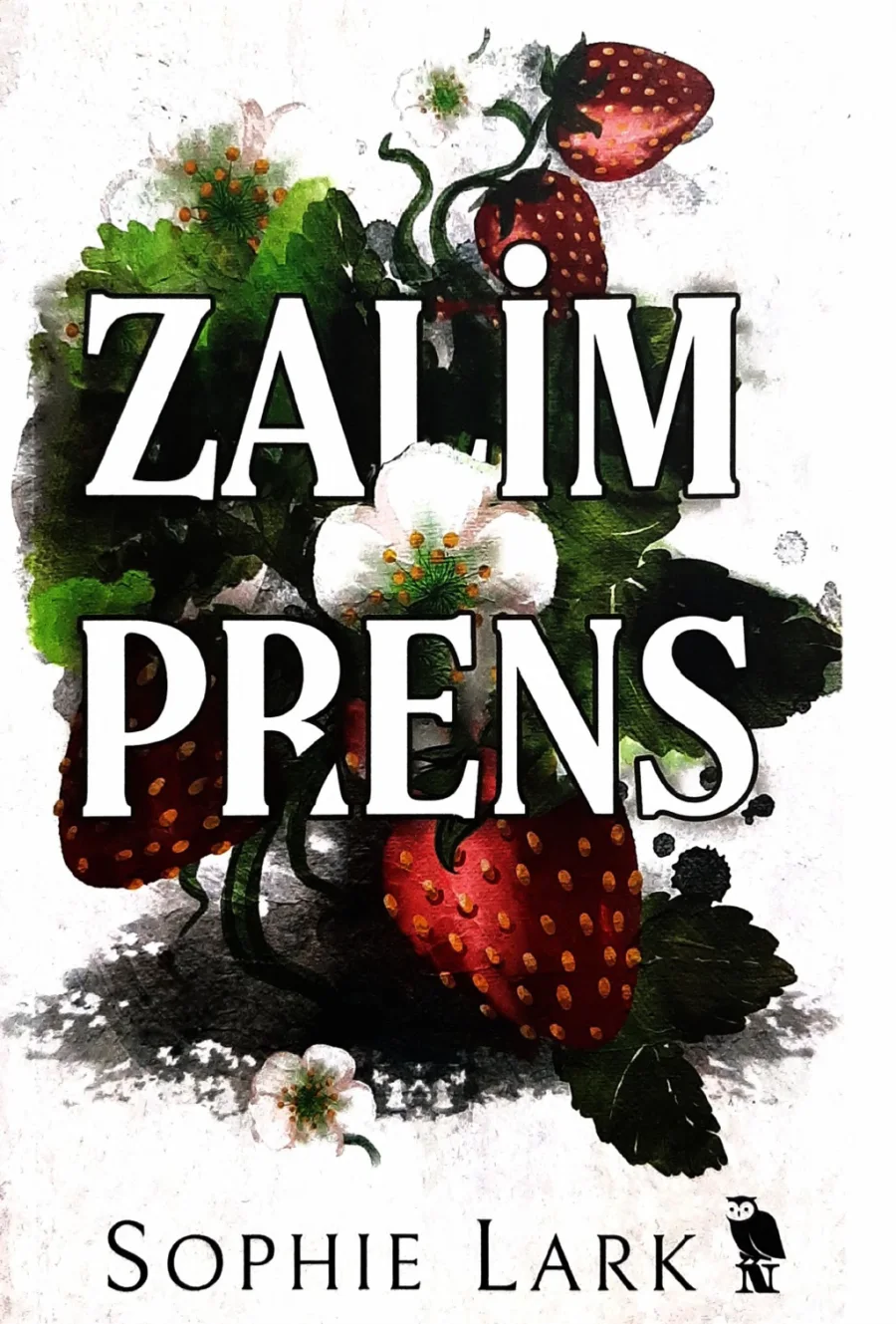Zalim Prens kapak görseli