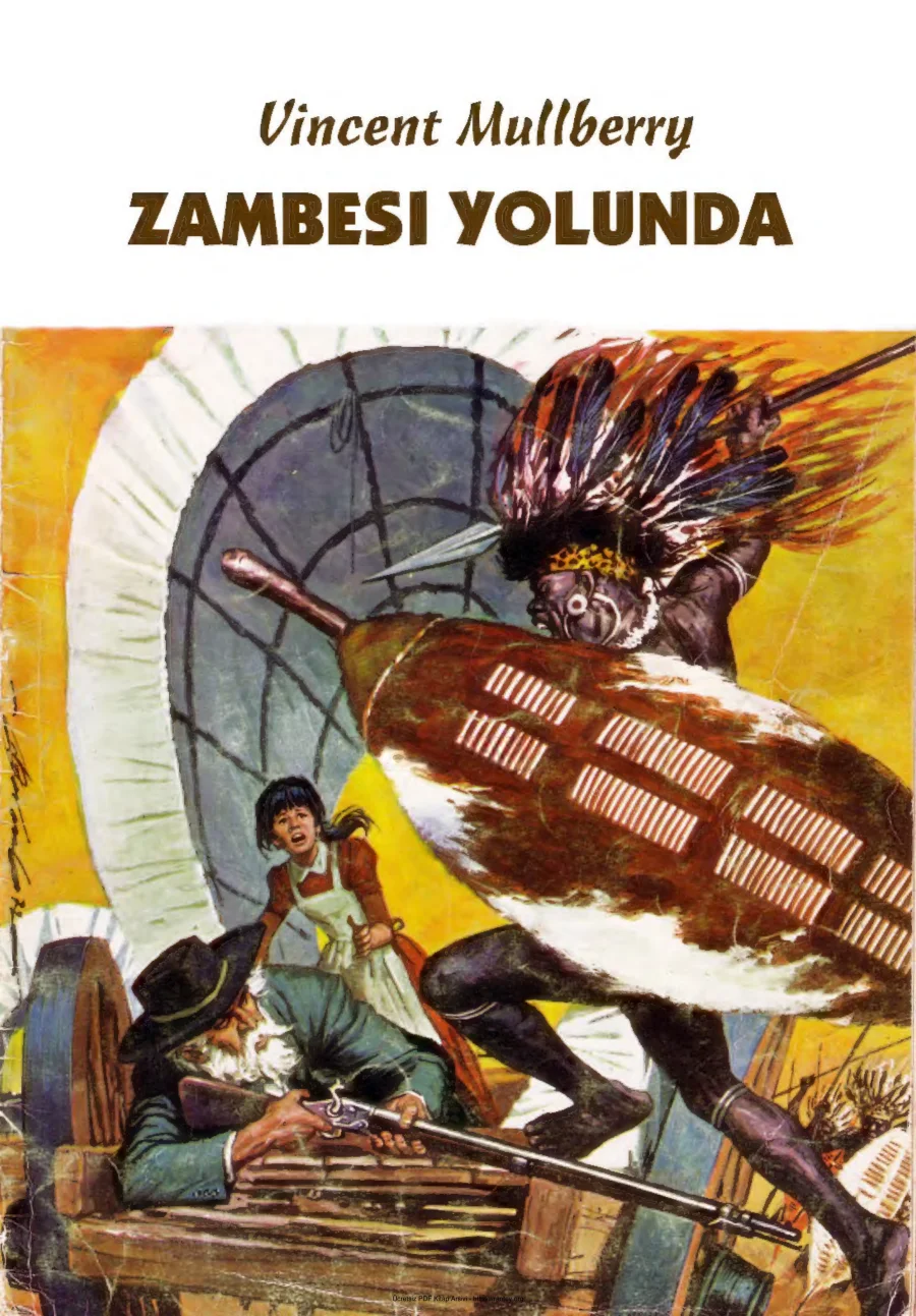 Zambesi Yolunda kapak görseli