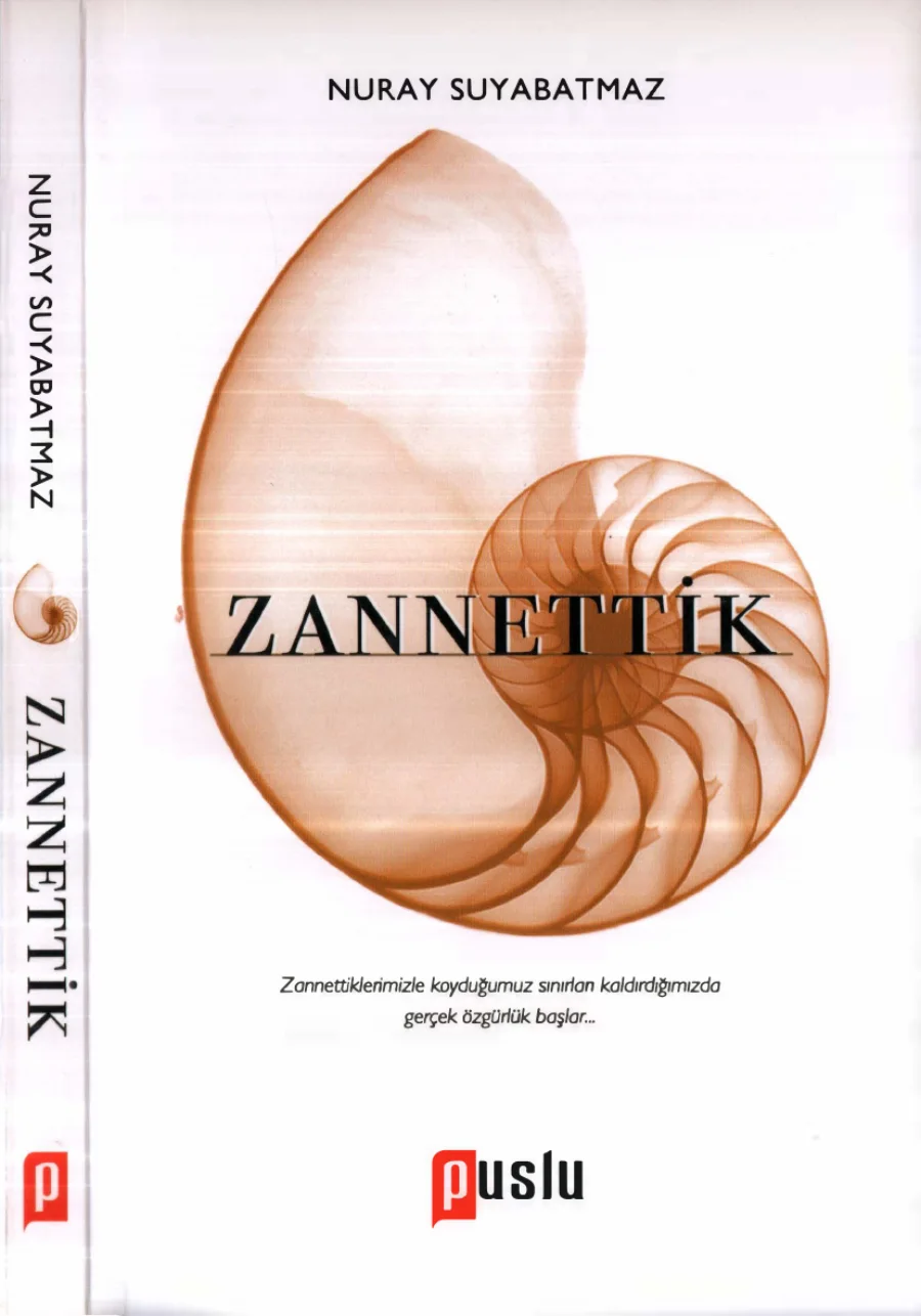 Zannettik Puslu Yayınları kapak görseli