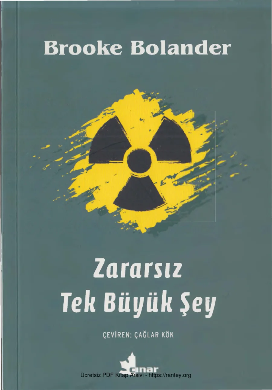 Zararsız Tek Büyük Şey Çınar Yayınları kapak görseli