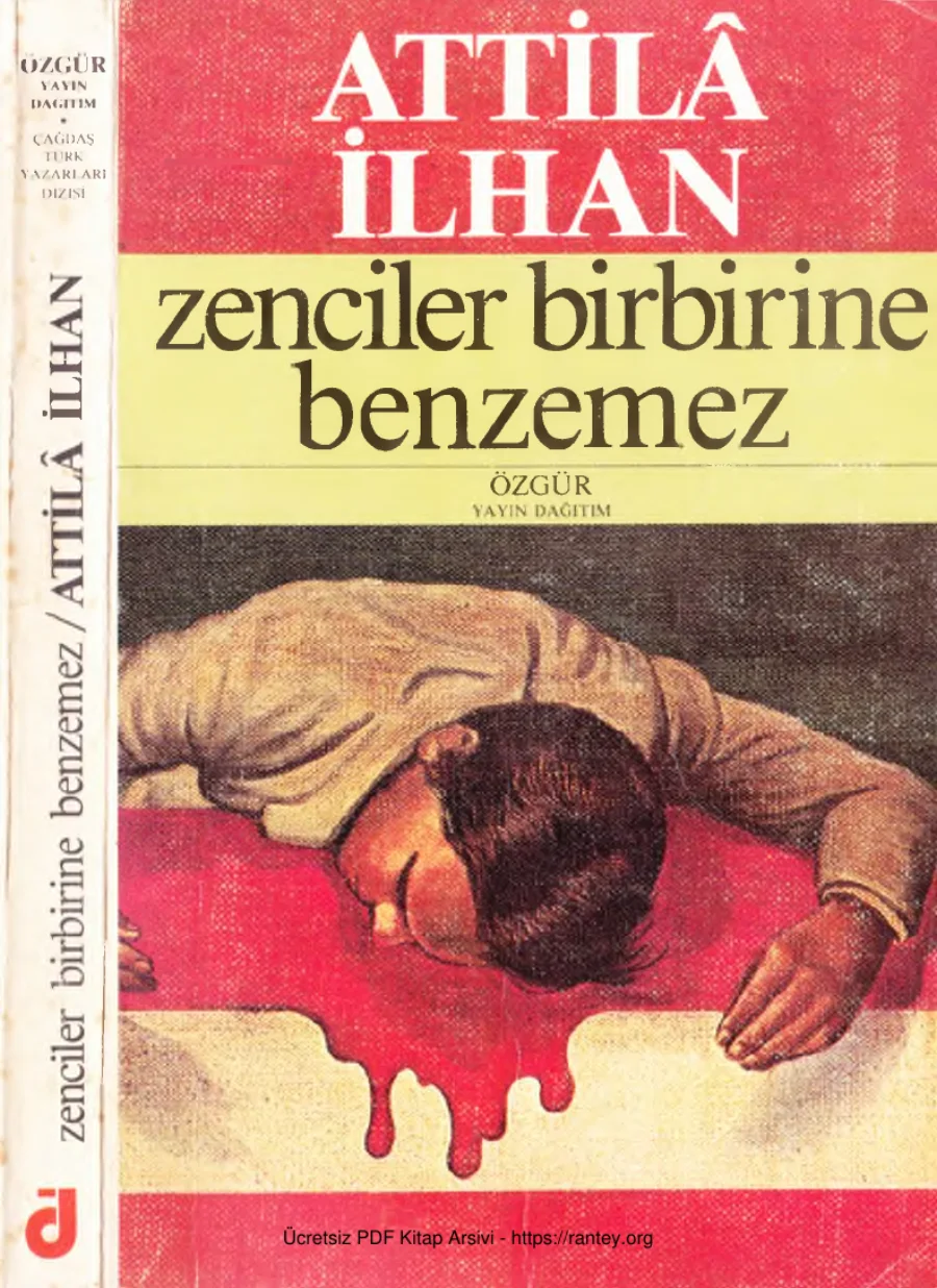 Zenciler Birbirine Benzemez kapak görseli