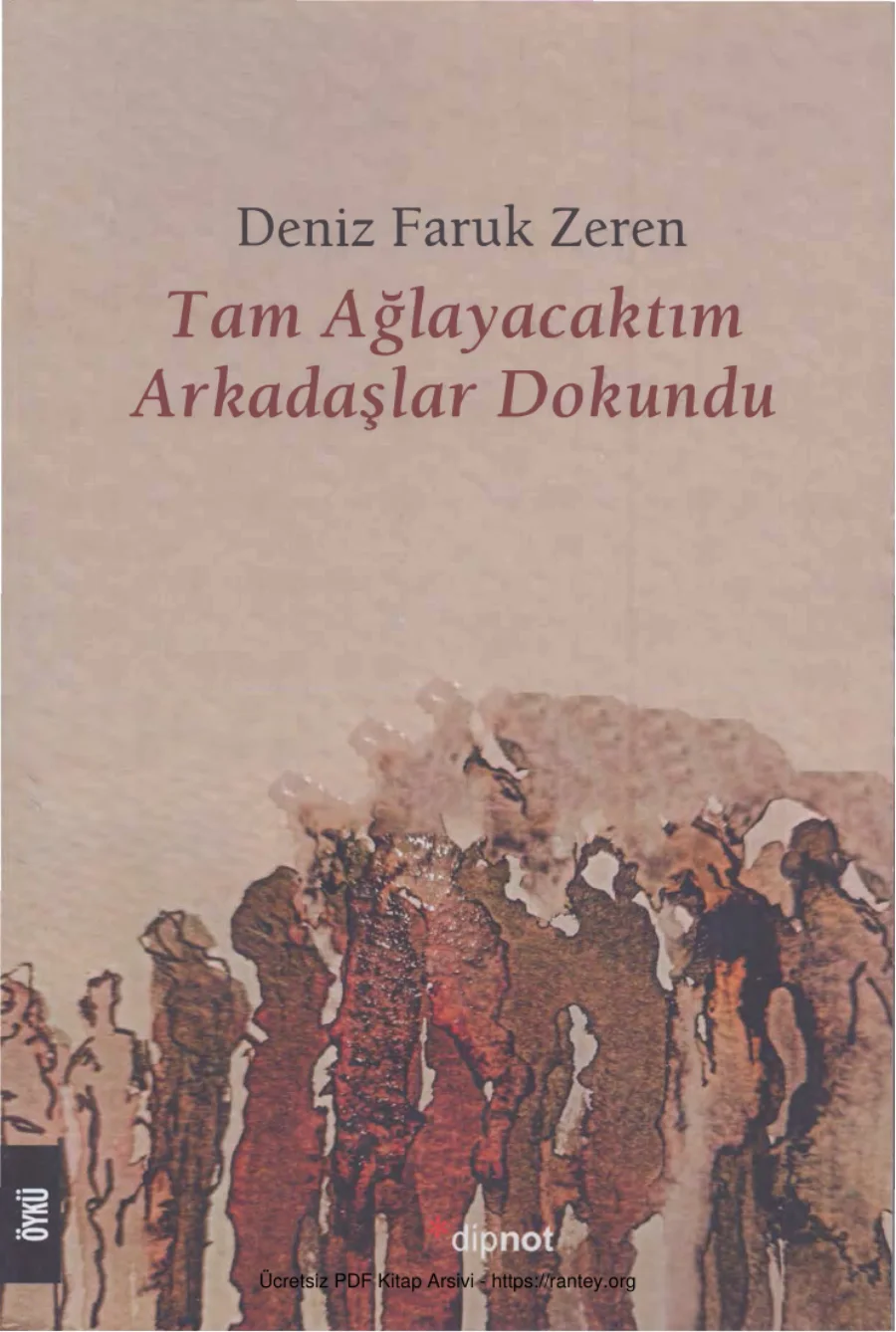 Zeren Tam Ağlayacaktım Arkadaş Dokundu kapak görseli