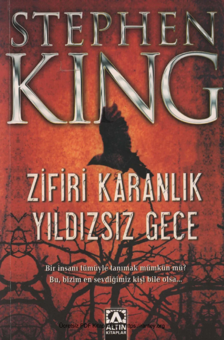 Zifiri Karanlık Yıldızsız Gece kapak görseli