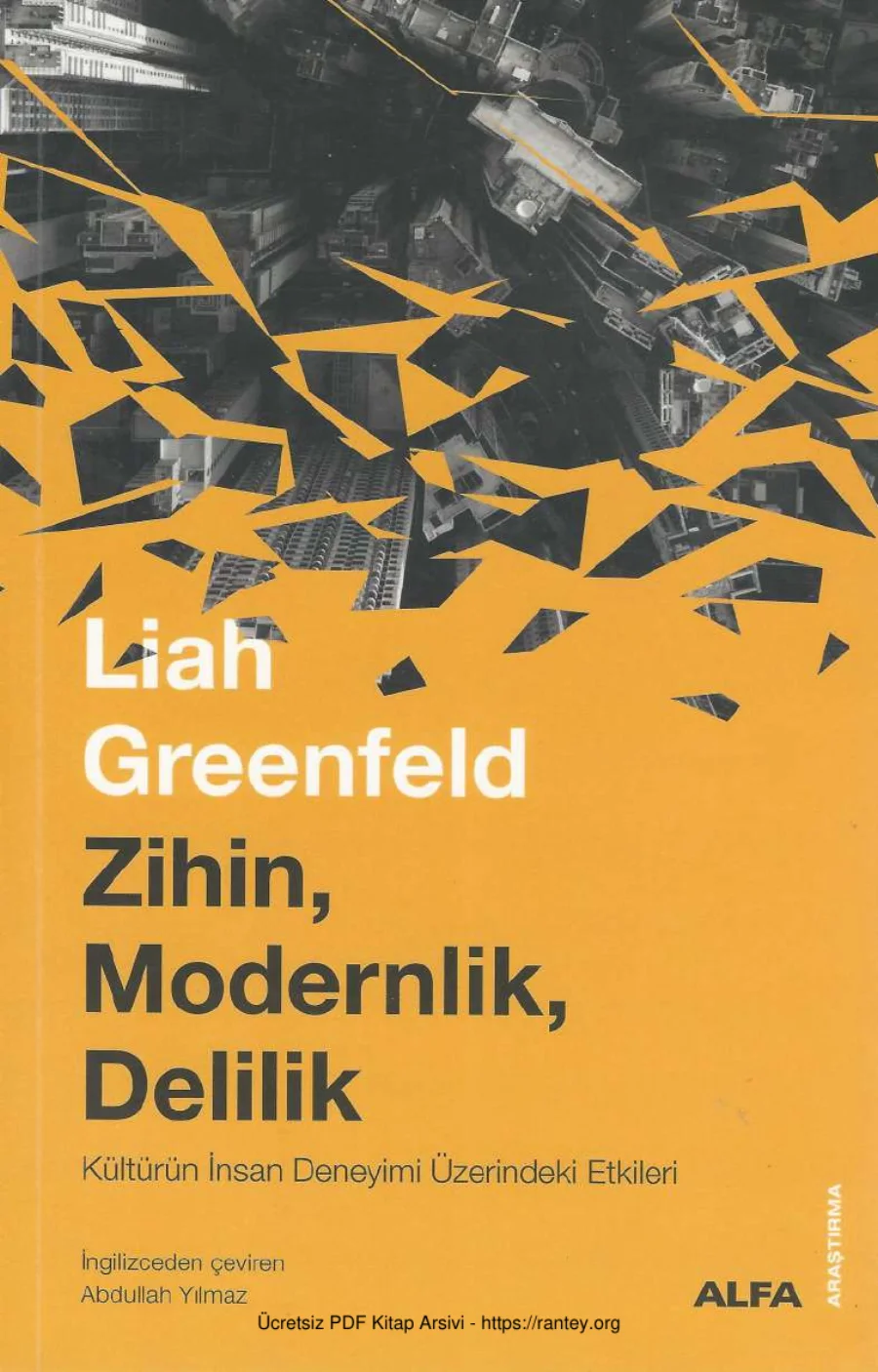 Zihin Modernlik Delilik Kültürün İnsan Deneyimi Üzerindeki Etkileri Alfa Yyınları kapak görseli