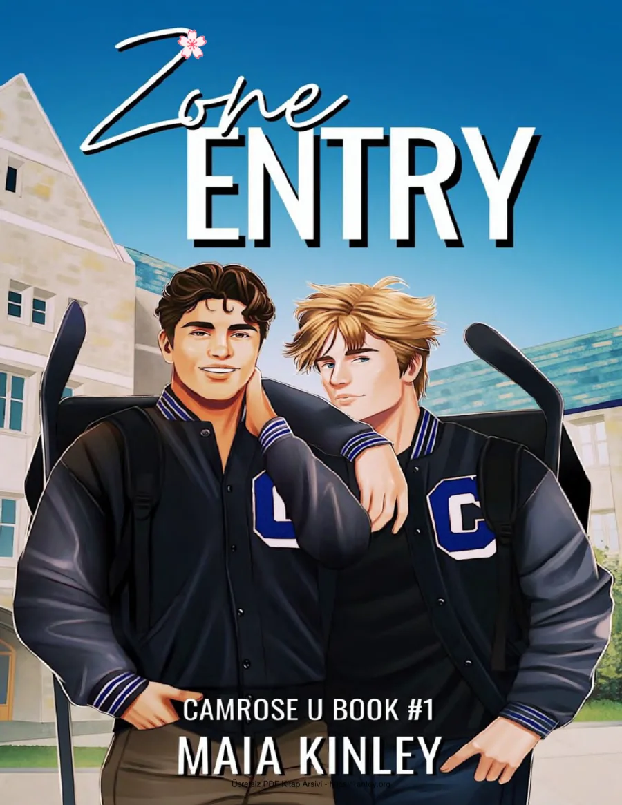 Zone Entry kapak görseli