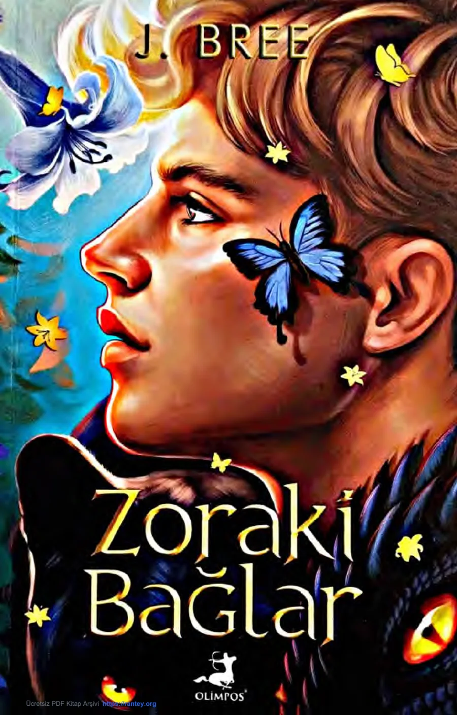 Zoraki Bağlar kapak görseli
